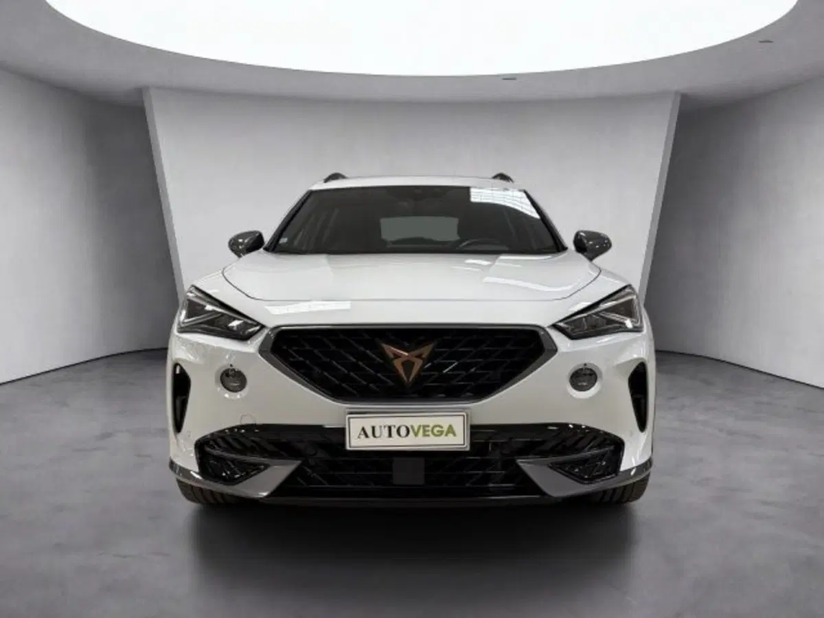 Cupra Formentor usata a Vicenza (2)