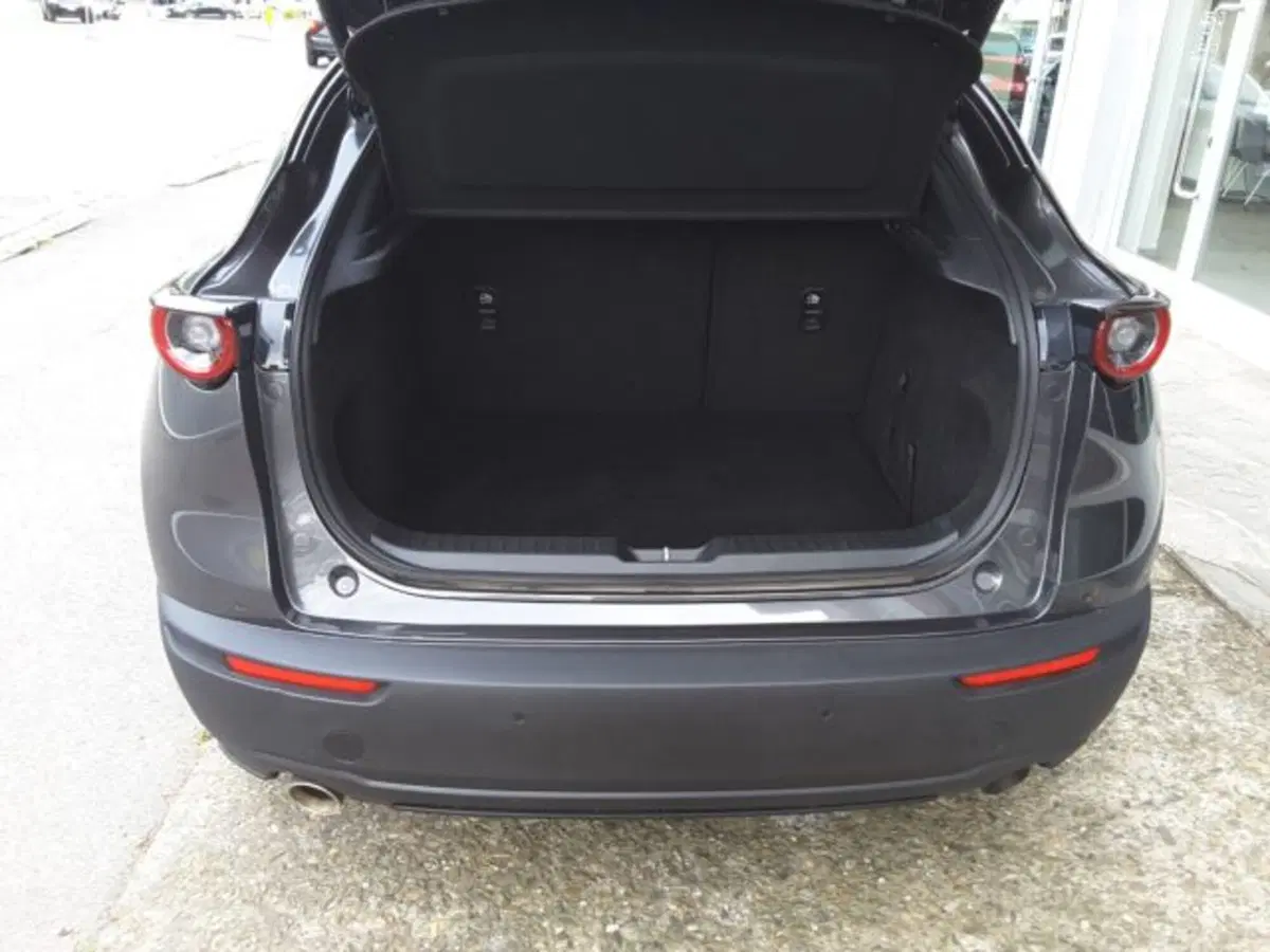Mazda CX-30 usata a Firenze (14)