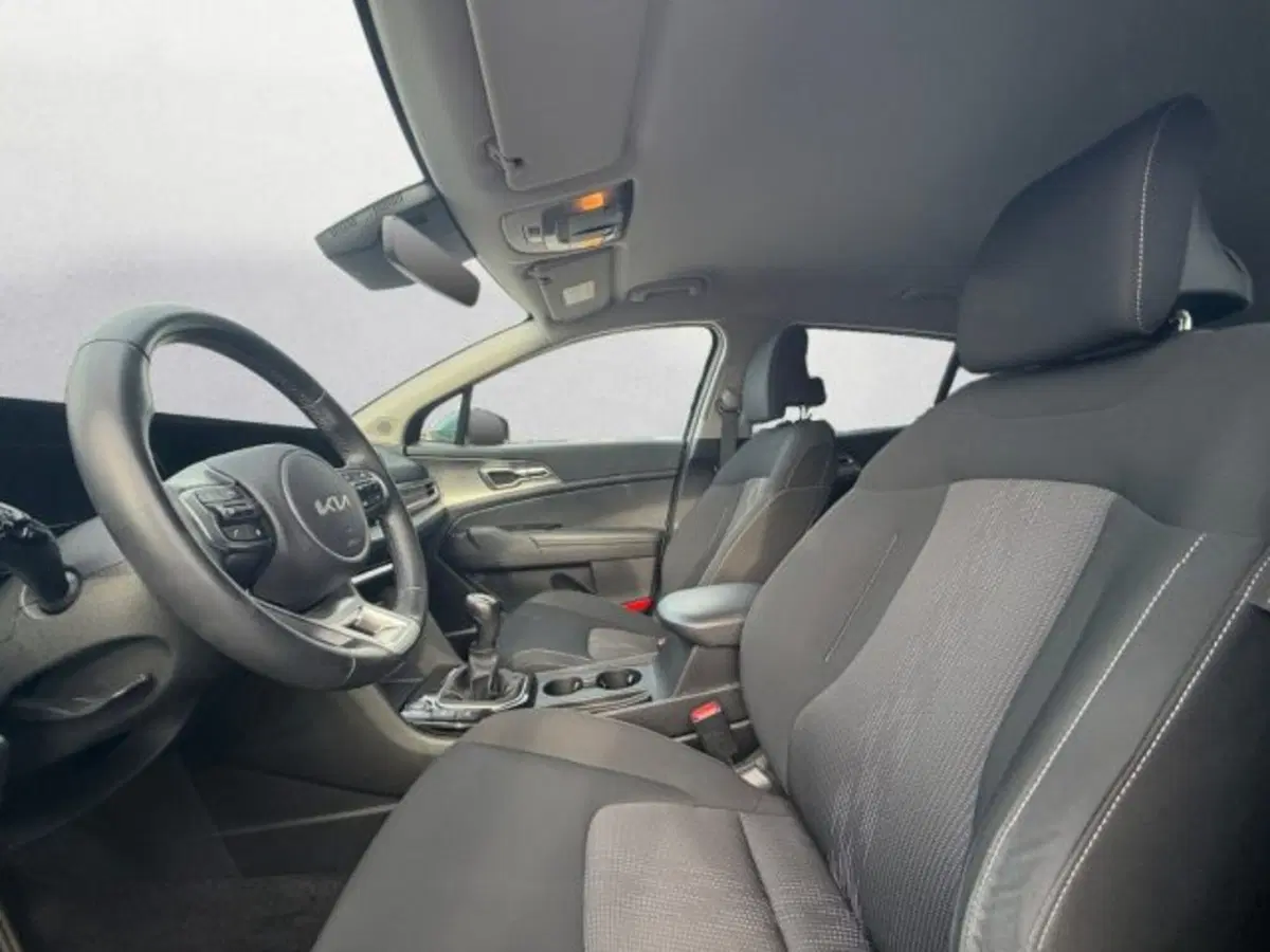 Kia Sportage usata a Udine (8)