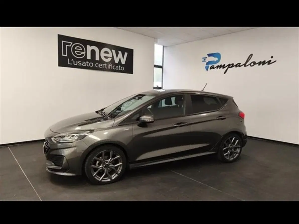 Ford Fiesta usata a Siena