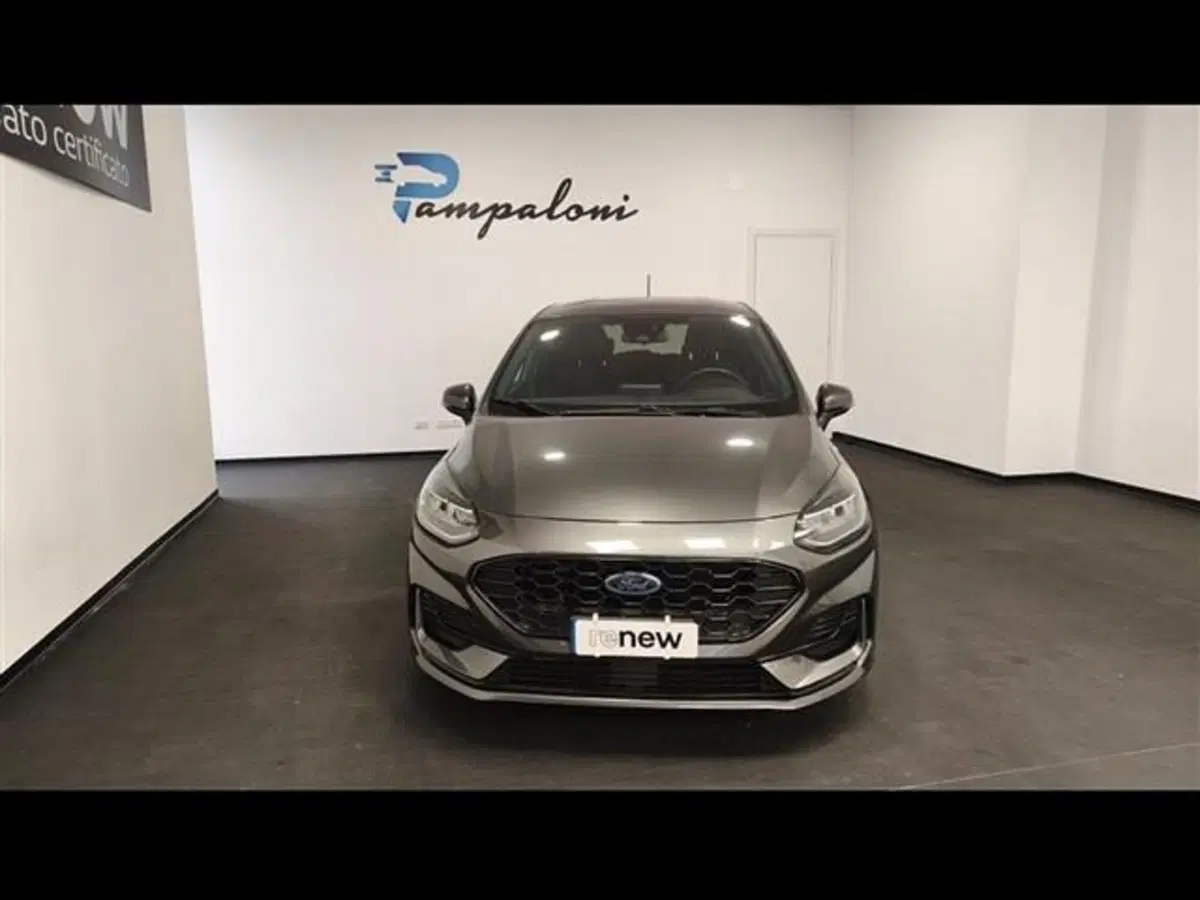 Ford Fiesta usata a Siena (2)
