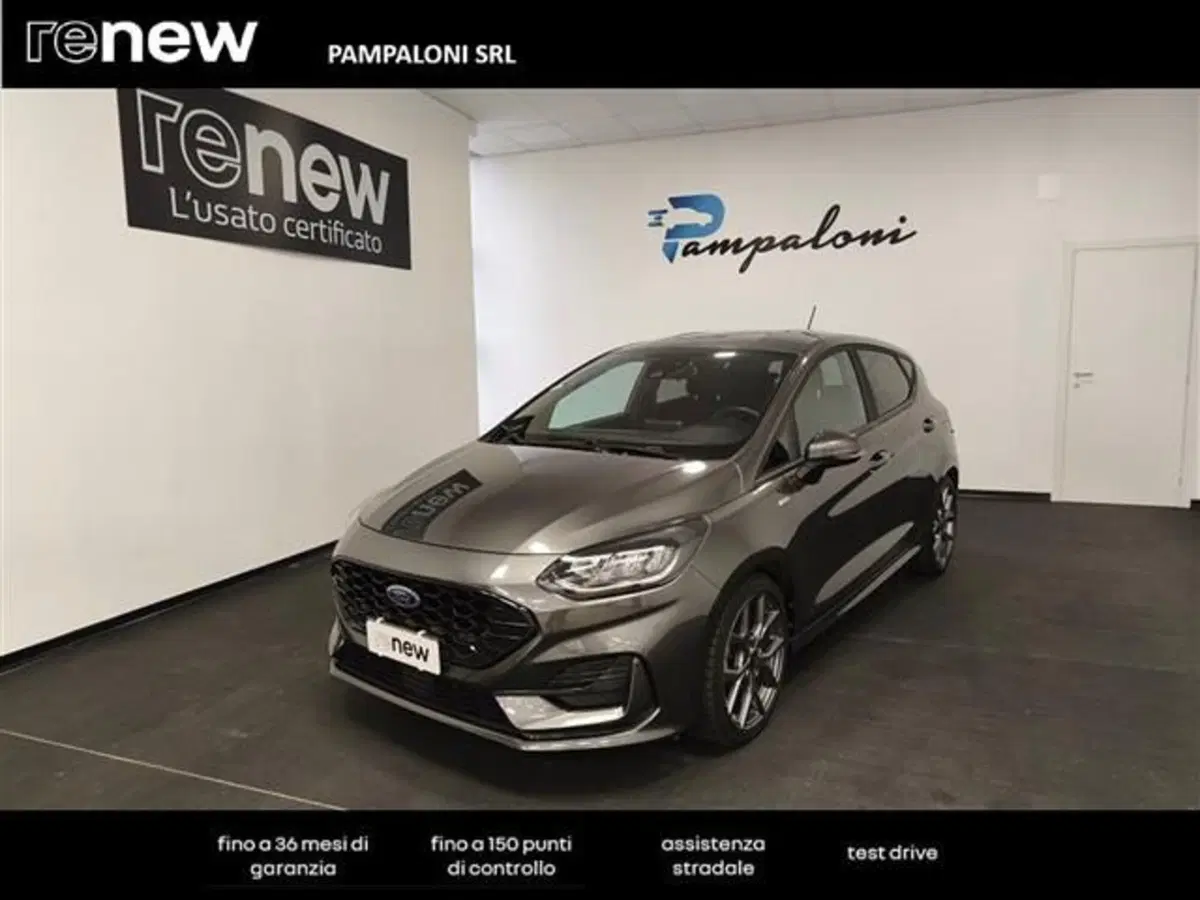 Ford Fiesta usata a Siena (3)
