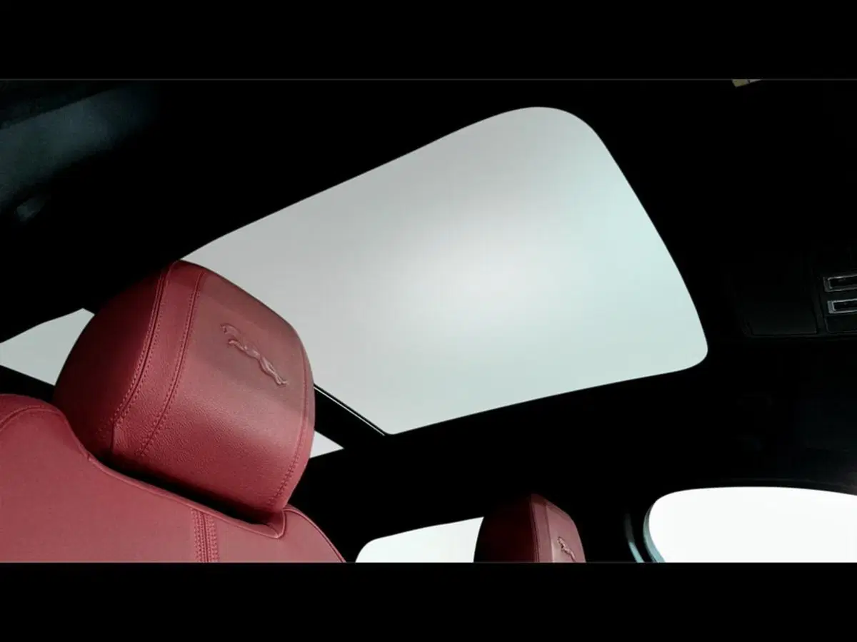 Jaguar F-Pace usata a Varese (15)
