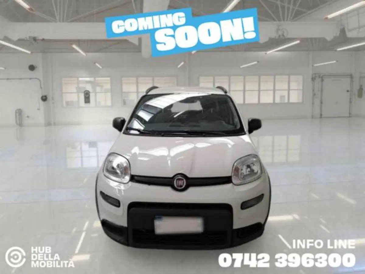Fiat Panda usata a Perugia
