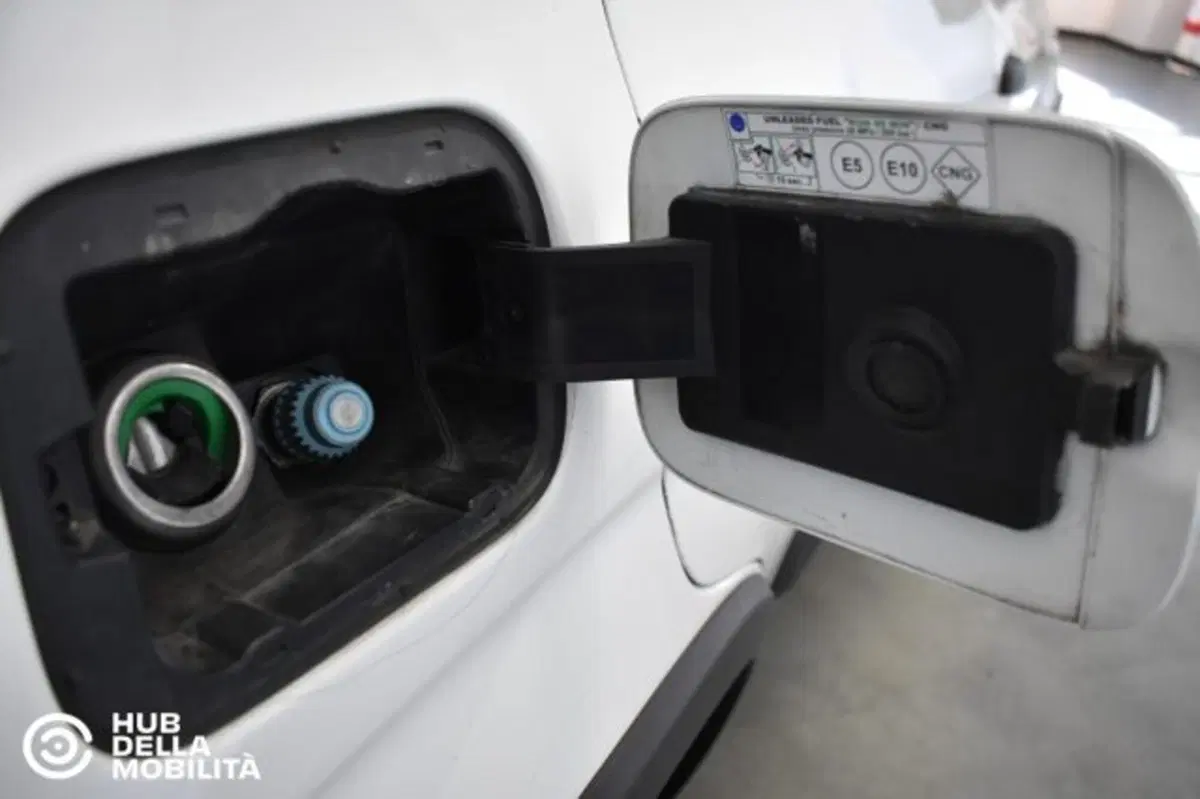Fiat Panda usata a Perugia (19)