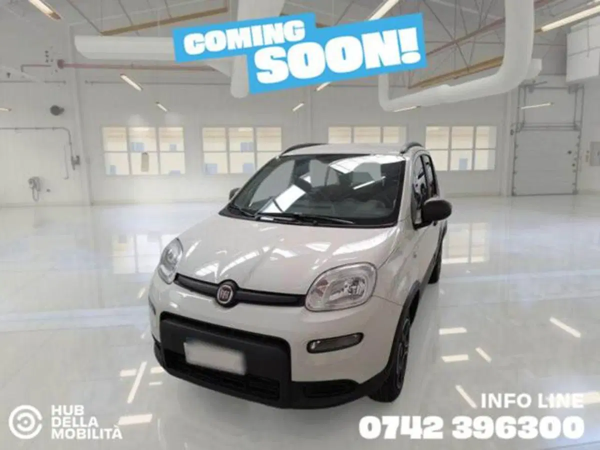 Fiat Panda usata a Perugia (2)