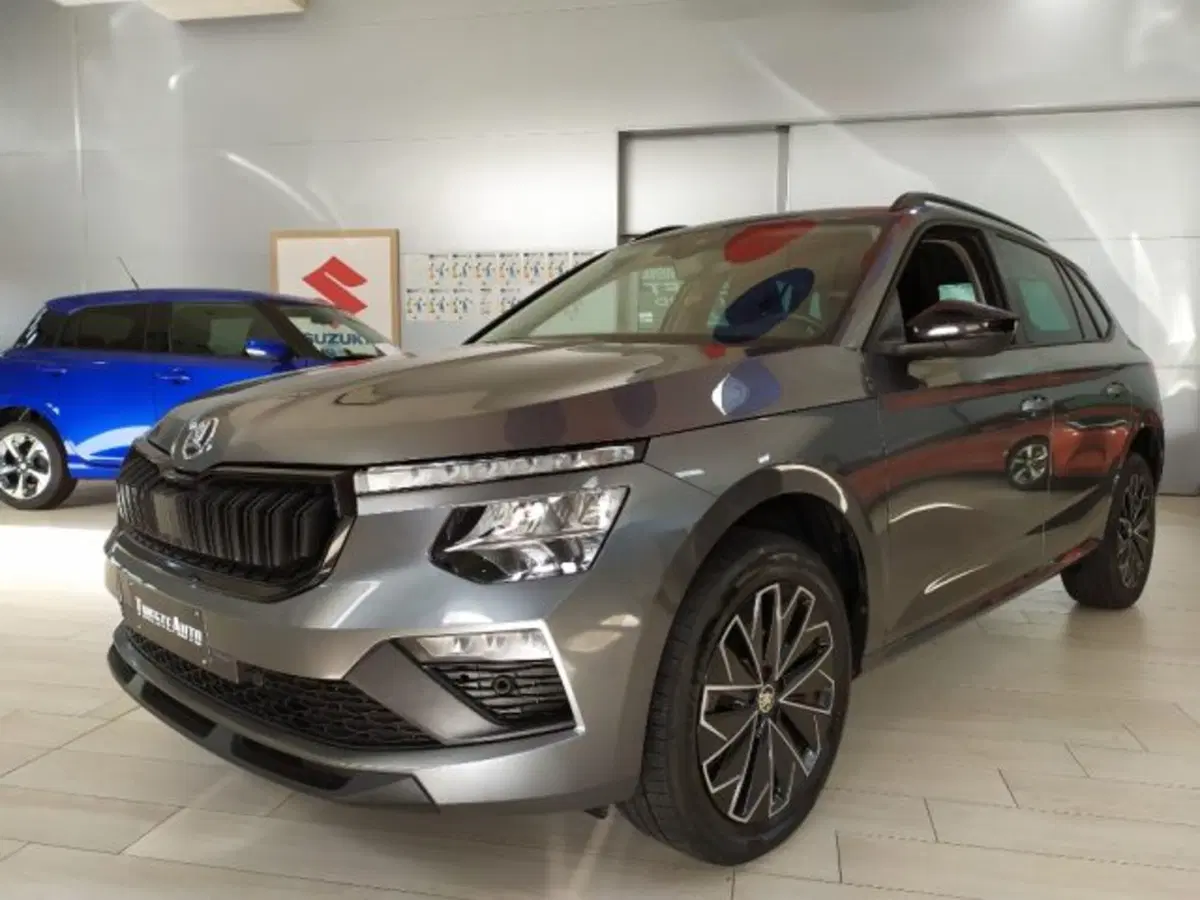 Skoda Kamiq usata a Trieste