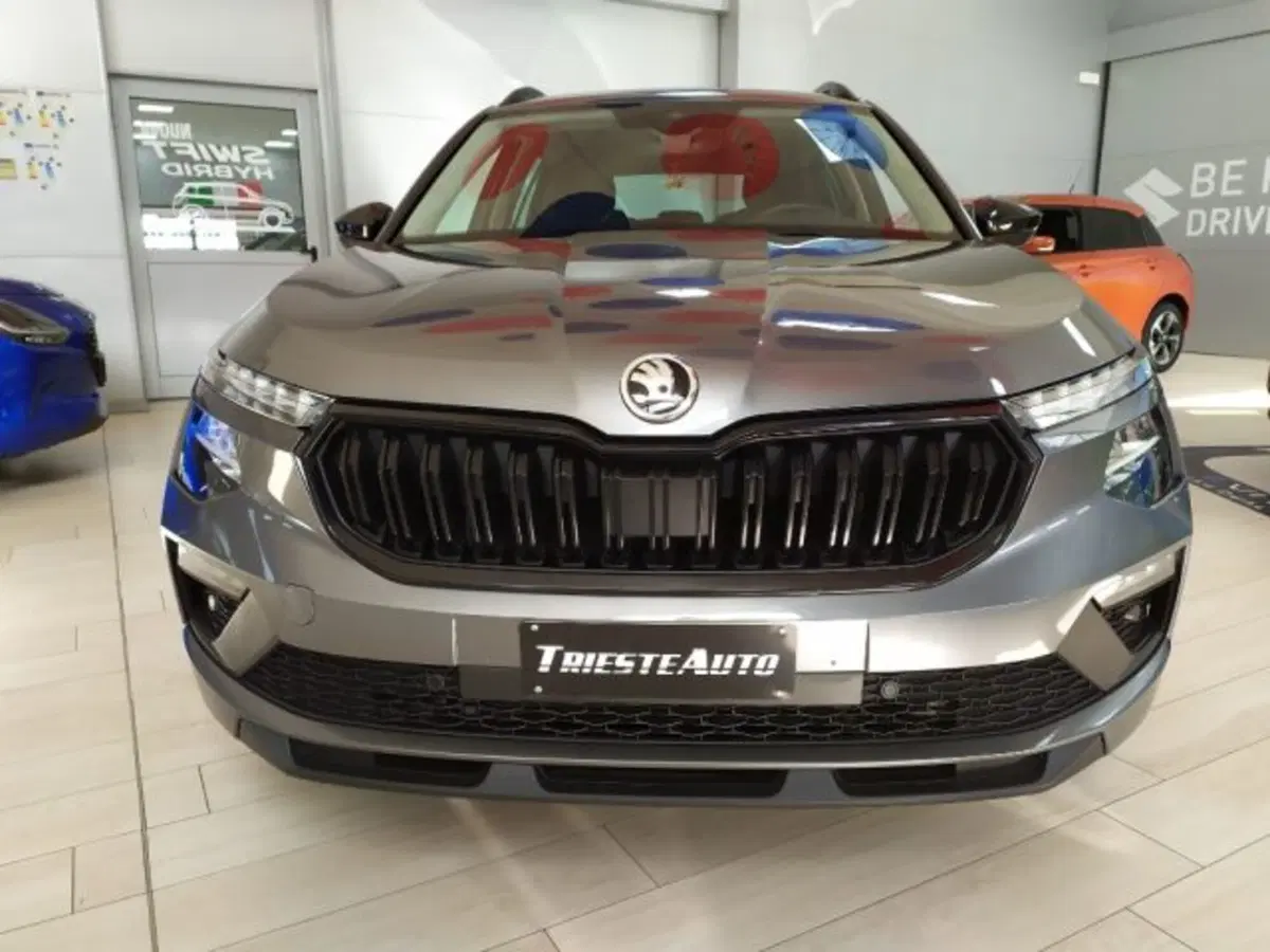 Skoda Kamiq usata a Trieste (2)