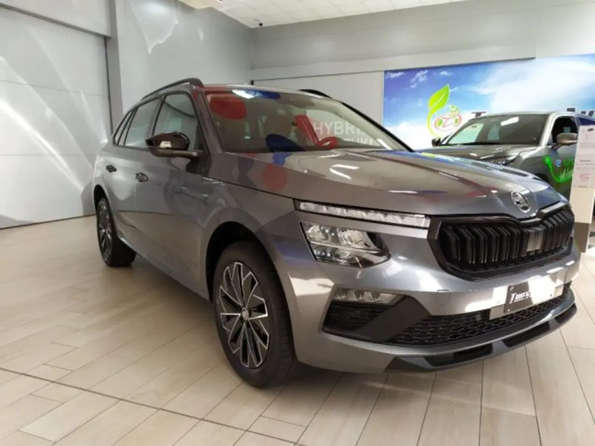 Skoda Kamiq usata a Trieste (3)