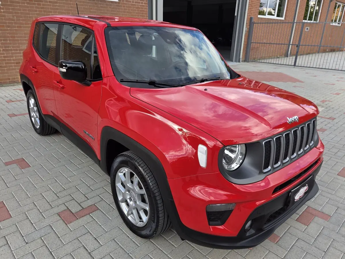 Jeep Renegade usata a Torino (2)