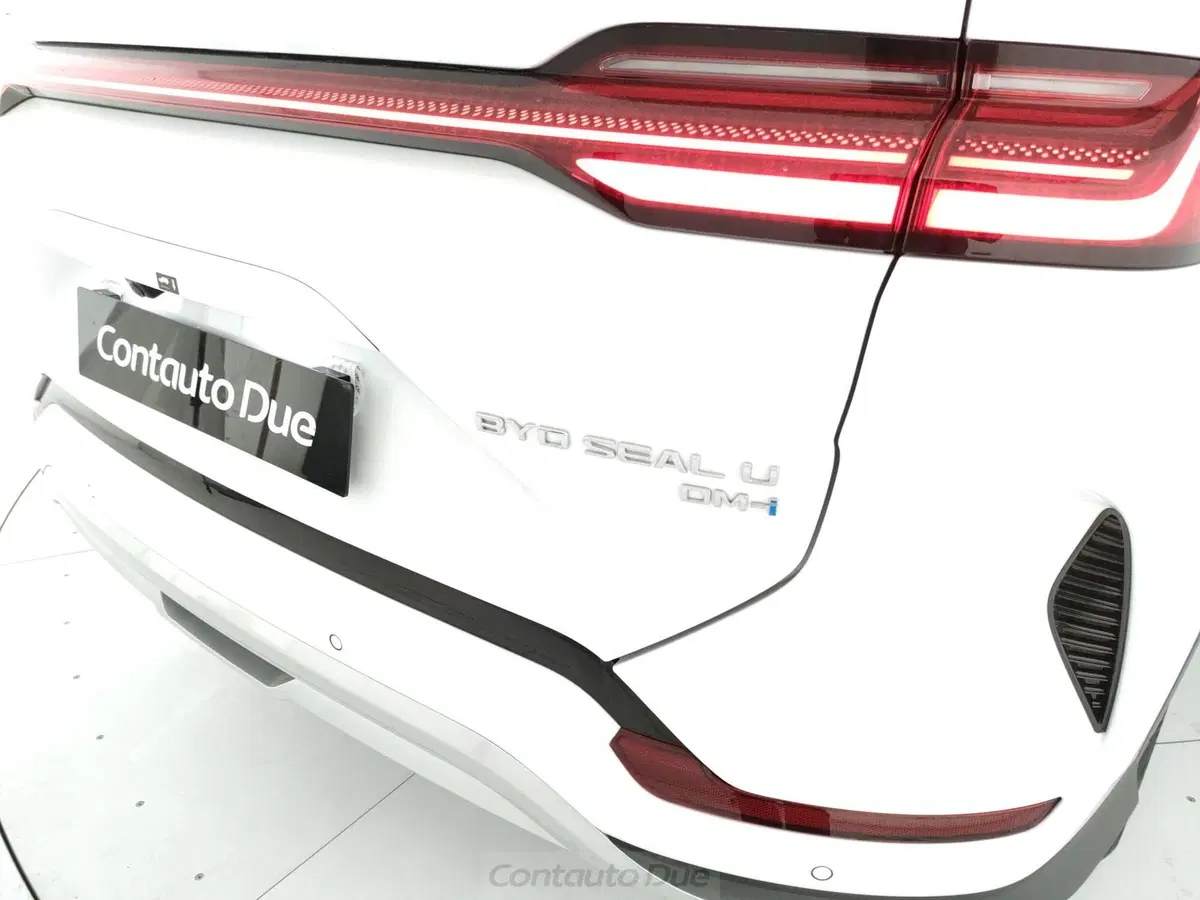 Byd Seal U DM-i nuova a Caserta (13)
