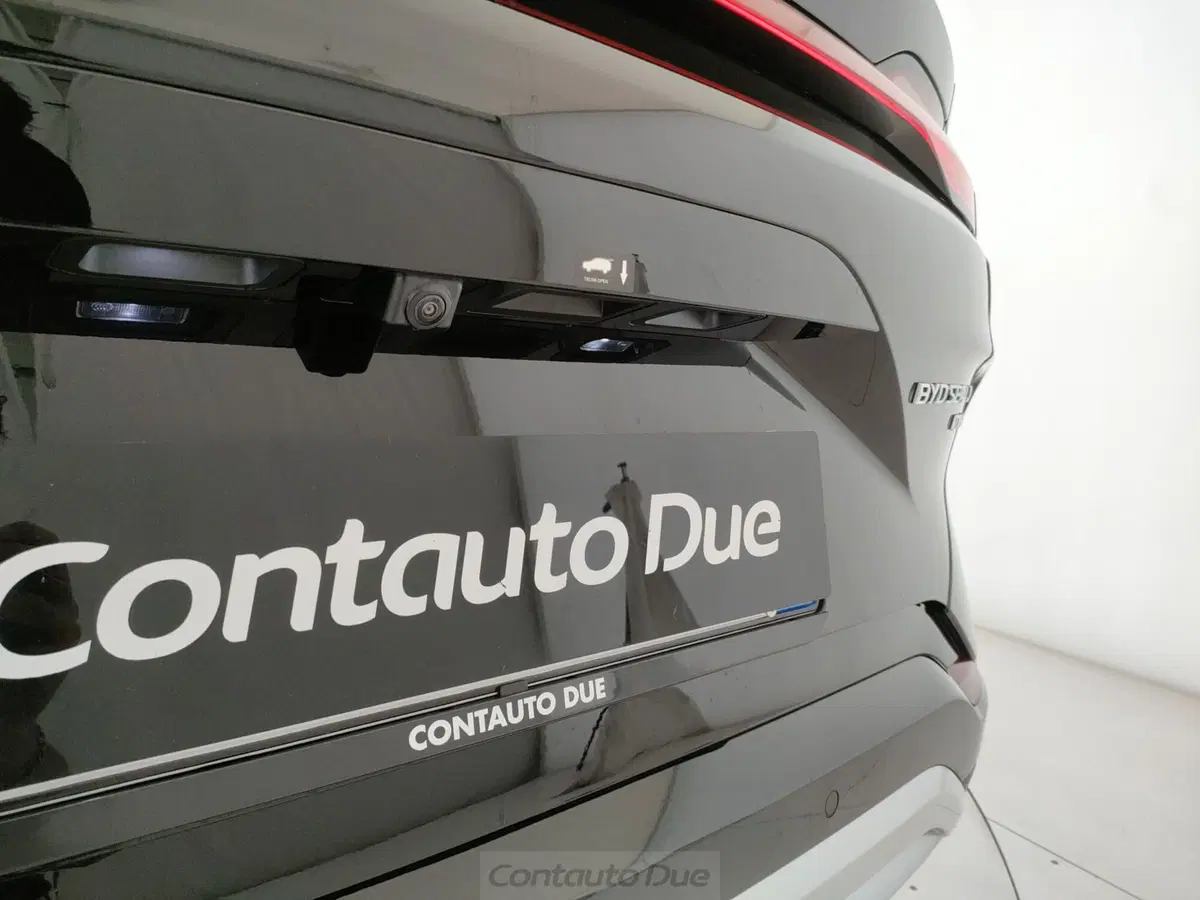 Byd Seal U DM-i nuova a Caserta (18)