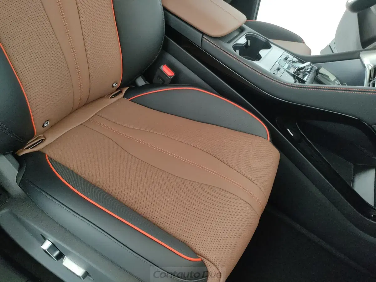 Byd Seal U DM-i nuova a Caserta (20)