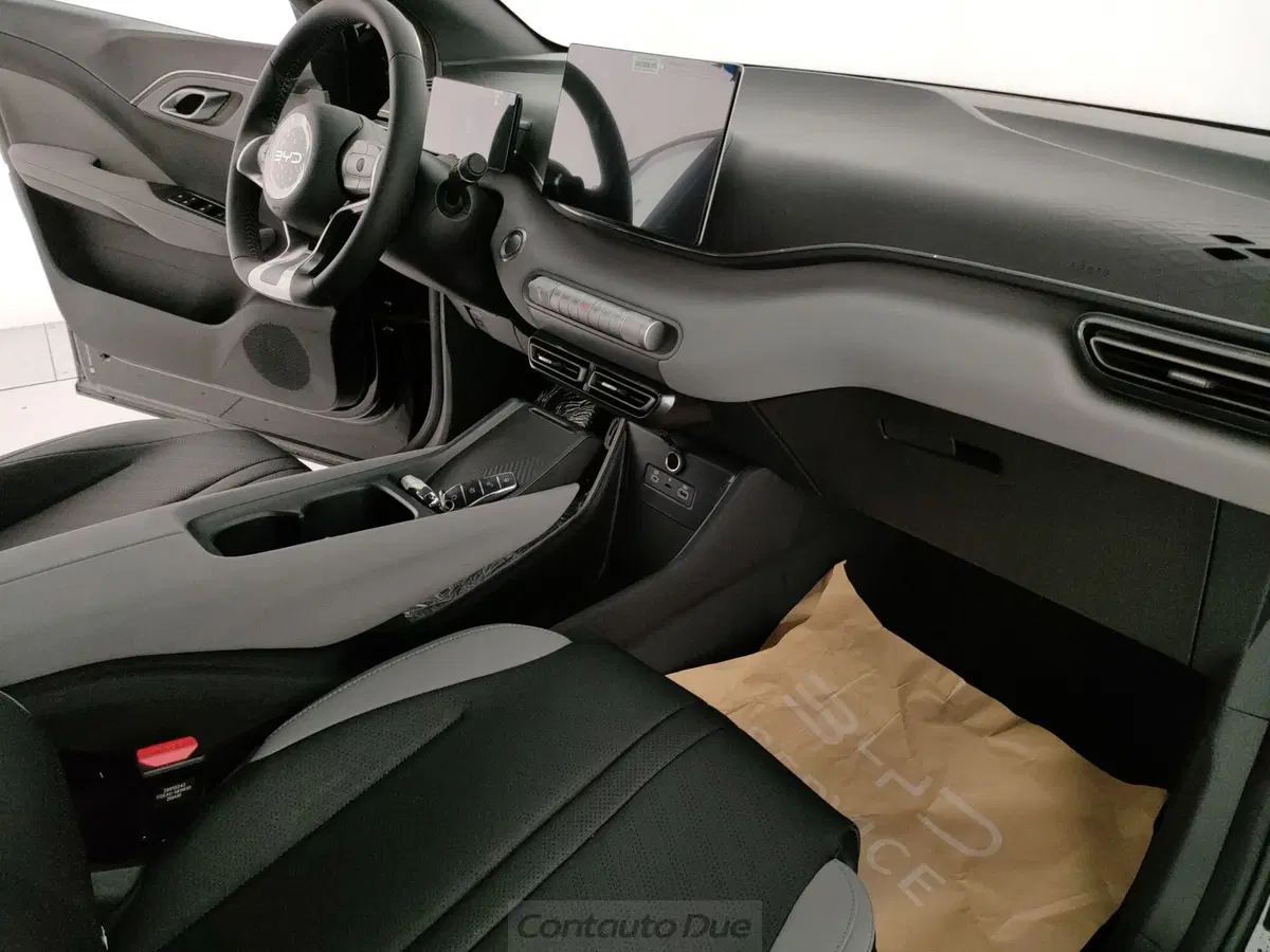 Byd Dolphin Surf nuova a Caserta (13)