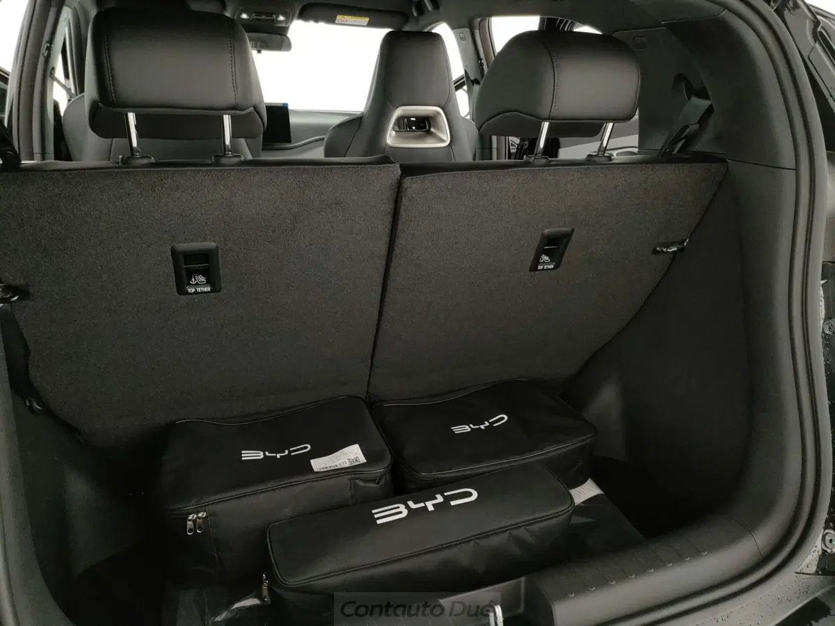 Byd Dolphin Surf nuova a Caserta (9)