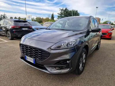 Ford Kuga 2.5 Plug In Hybrid 225 CV CVT 2WD ST-Line del 2023 usata a Imola
