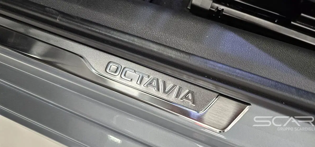 Skoda Octavia Station Wagon nuova a Livorno (13)