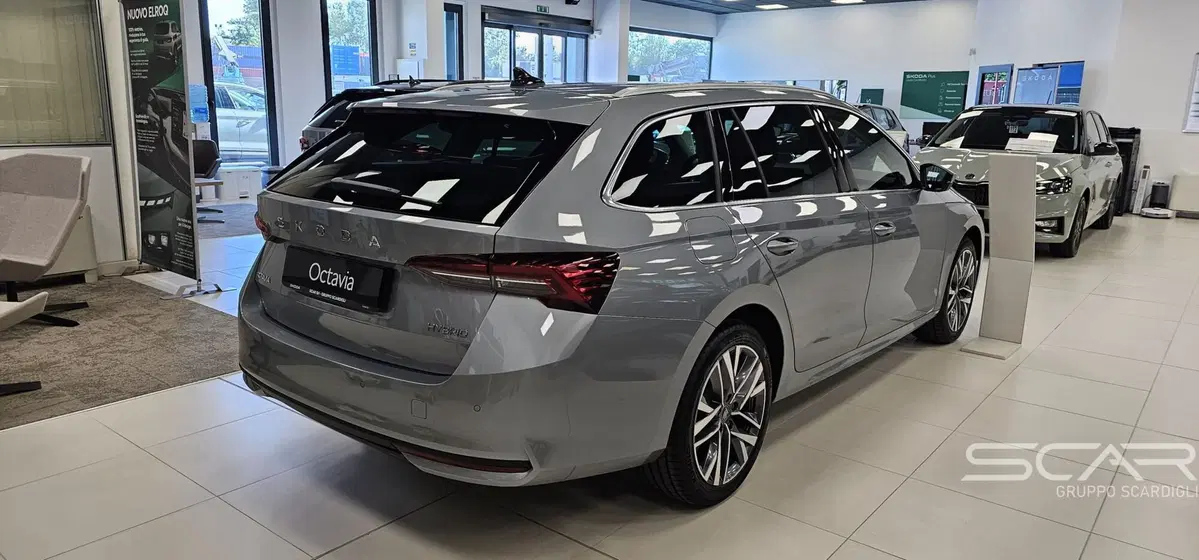 Skoda Octavia Station Wagon nuova a Livorno (5)