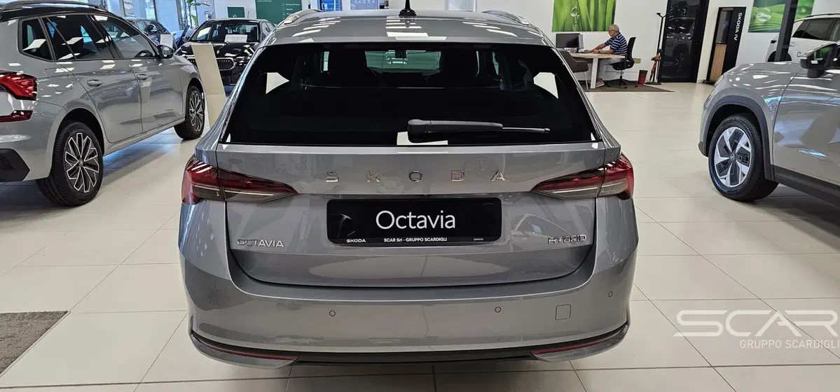 Skoda Octavia Station Wagon nuova a Livorno (6)