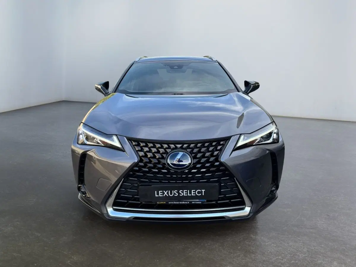 Lexus UX usata a Modena (2)