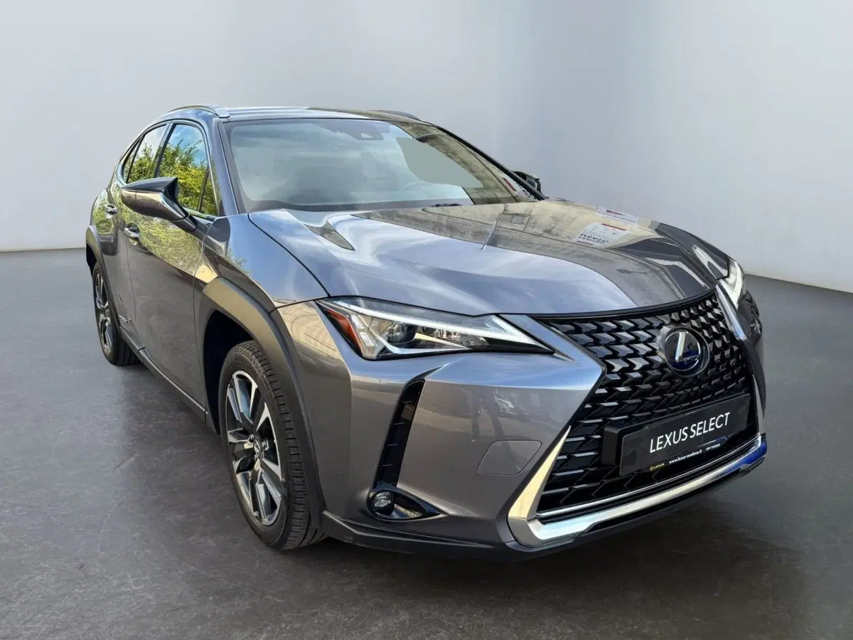 Lexus UX usata a Modena (3)