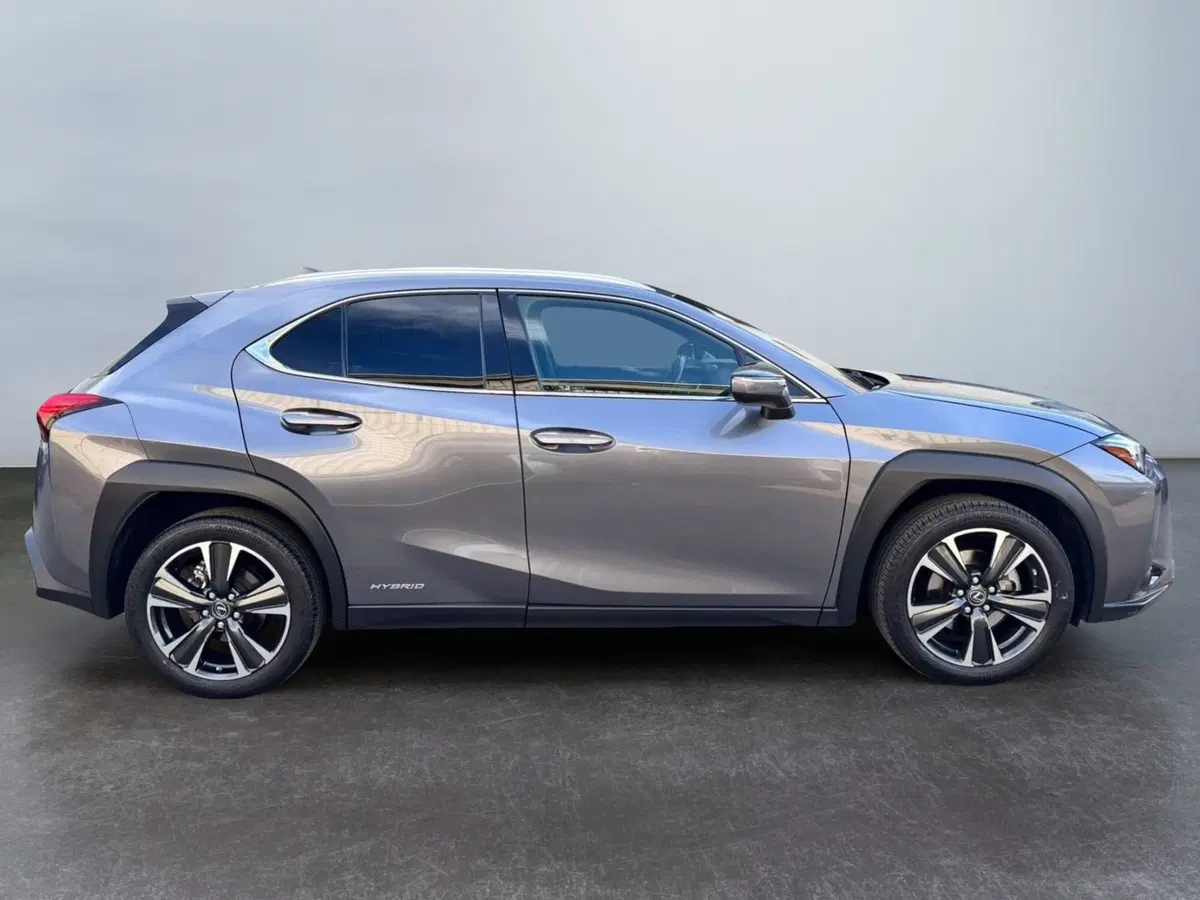 Lexus UX usata a Modena (5)