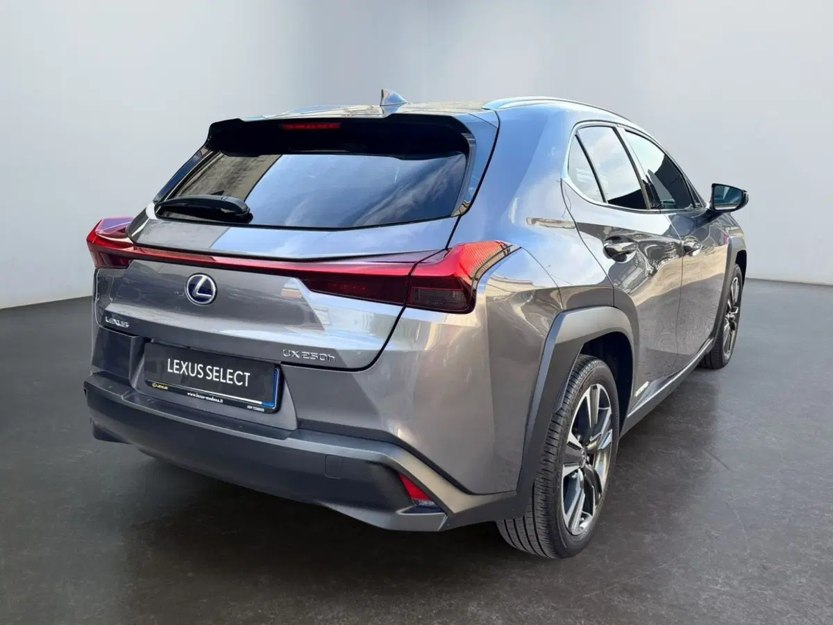 Lexus UX usata a Modena (7)
