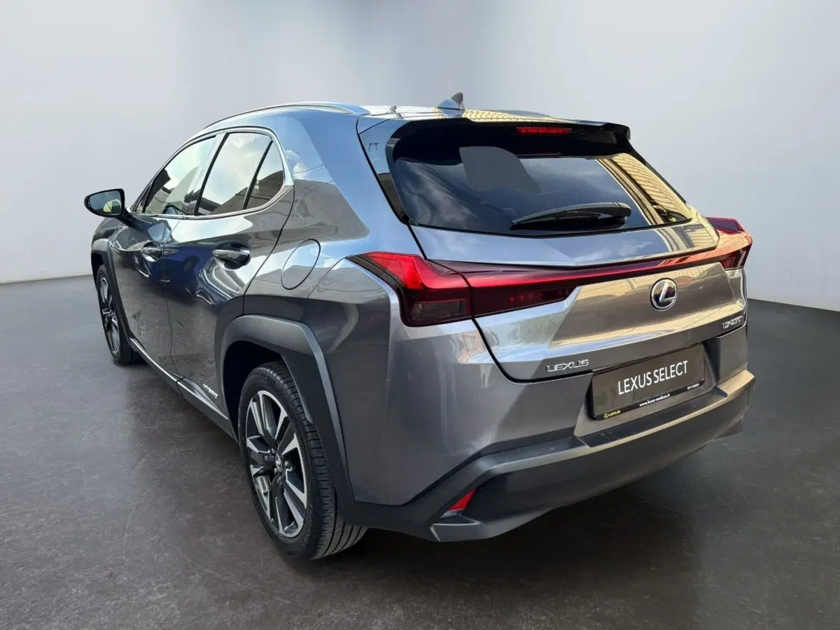 Lexus UX usata a Modena (8)