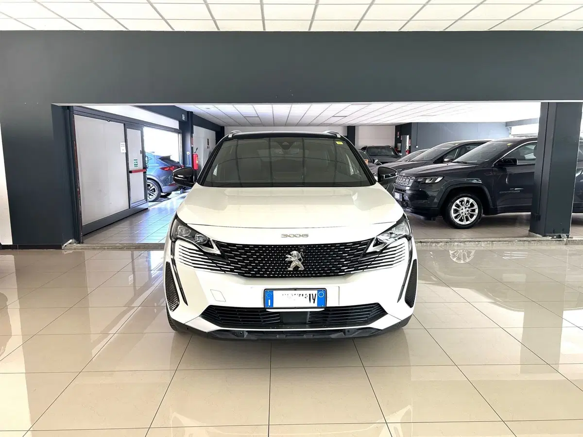 Peugeot 3008 usata a Ferrara (2)
