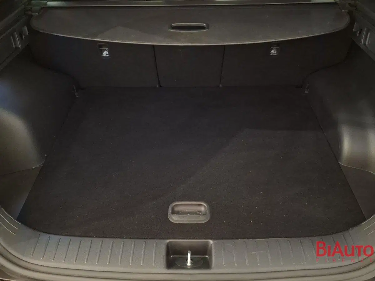 Kia Sportage usata a Firenze (4)