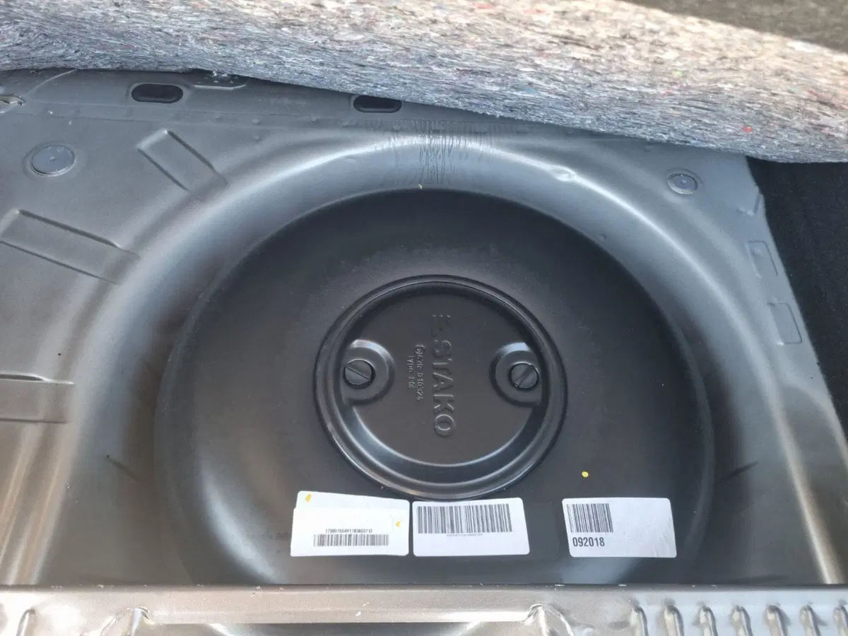 Dacia Sandero nuova a Lucca (14)