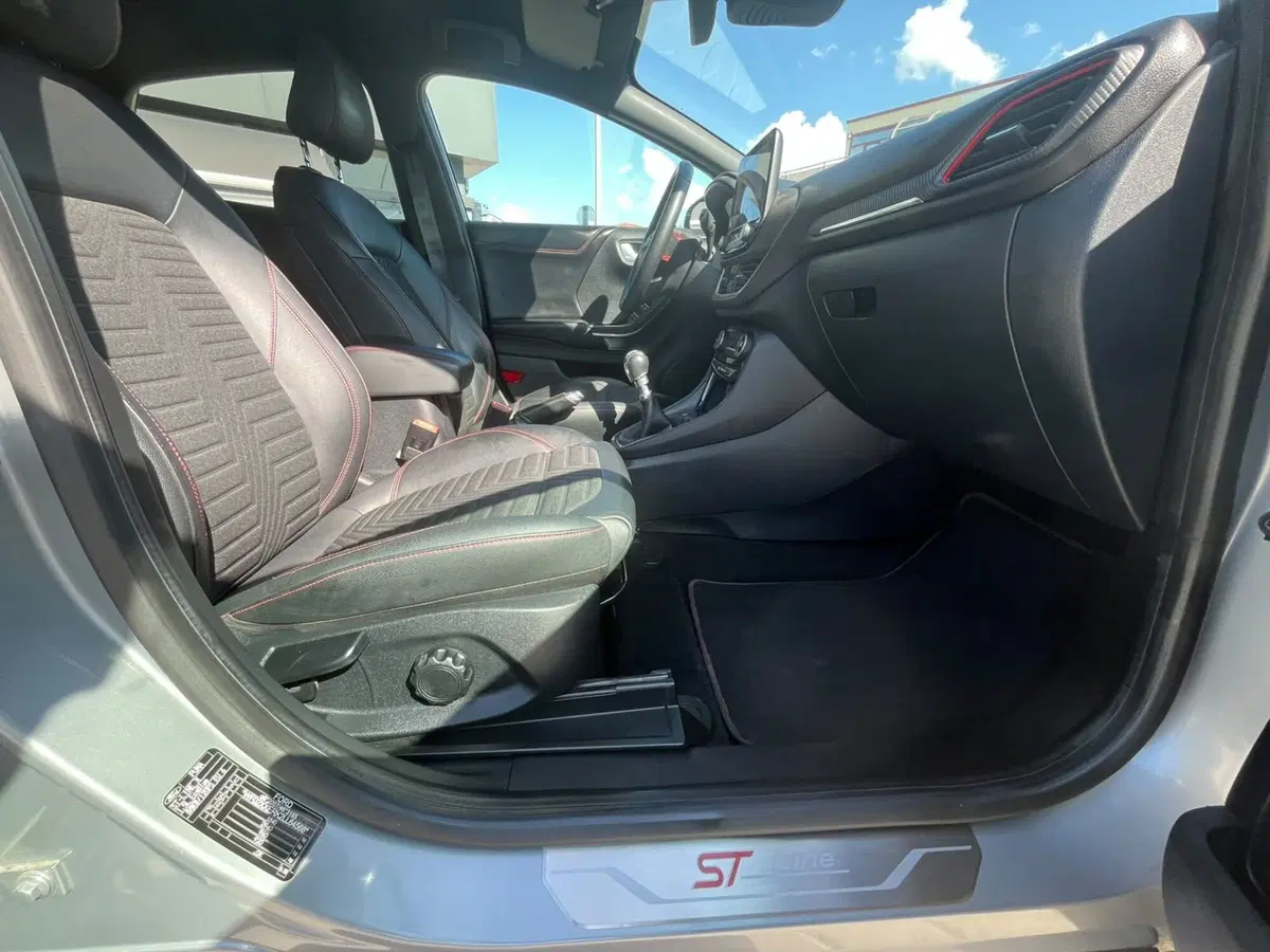 Ford Puma usata a Massa-Carrara (16)