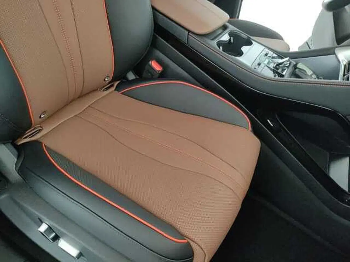 Byd Seal U DM-i nuova a Caserta (20)