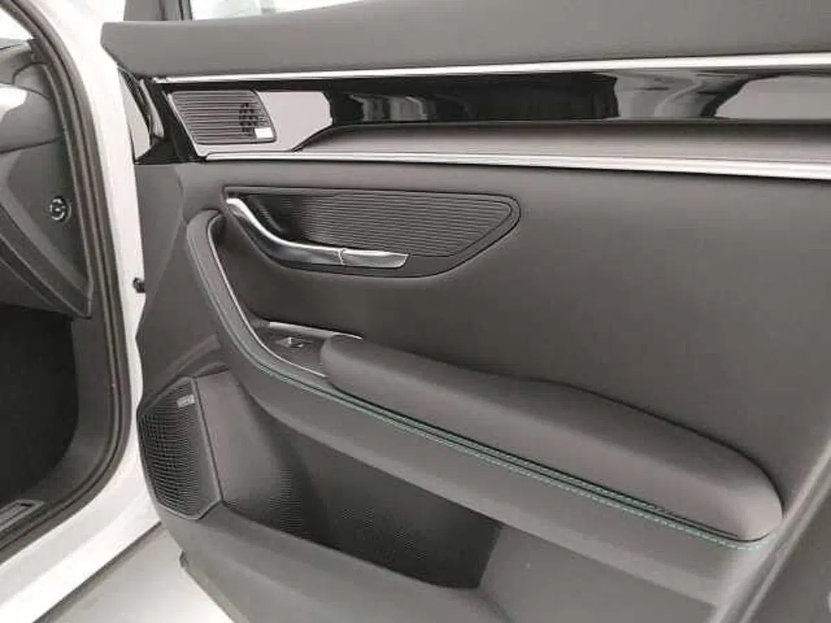 Byd Seal U DM-i nuova a Caserta (17)