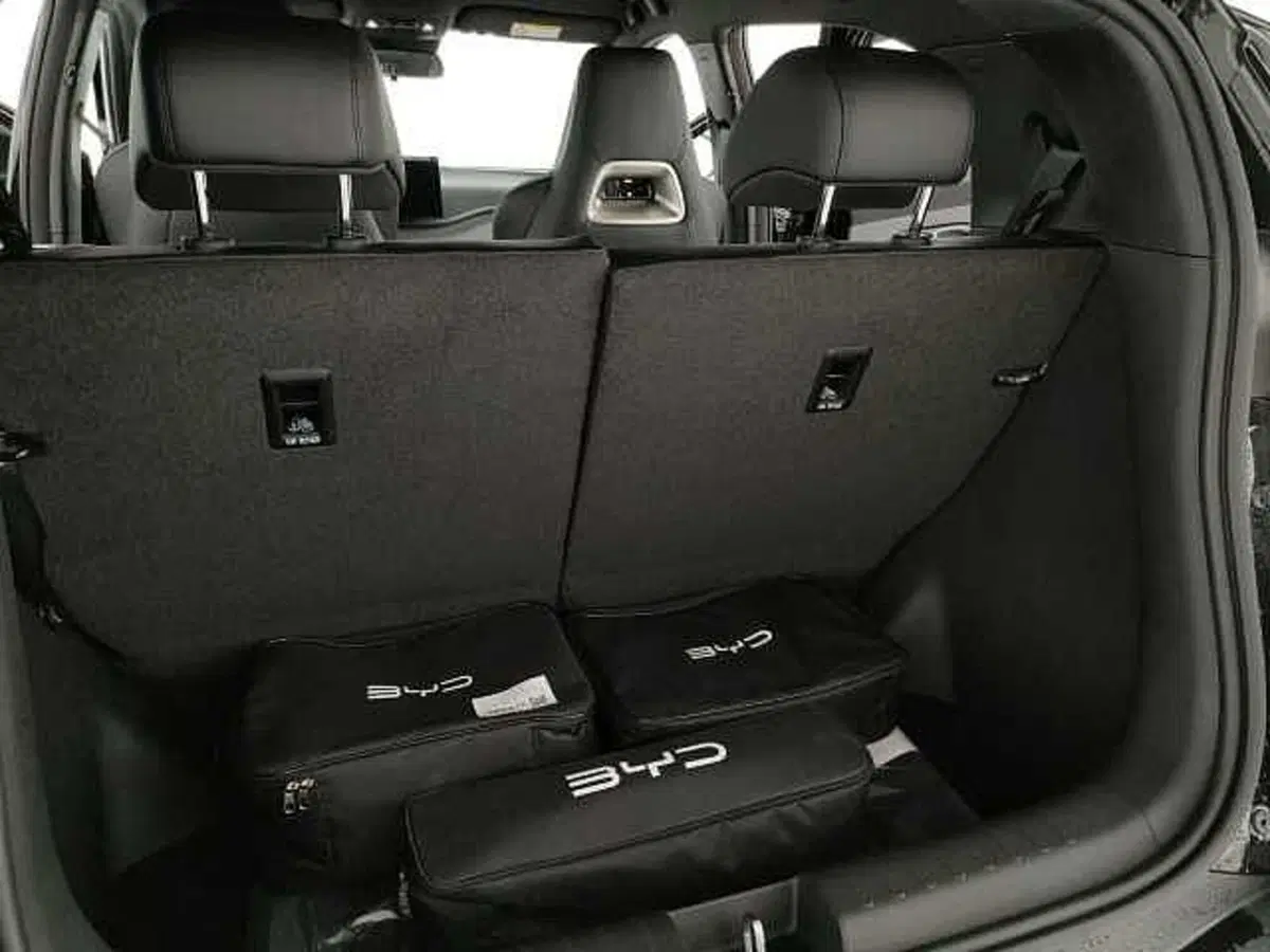 Byd Dolphin Surf nuova a Caserta (9)