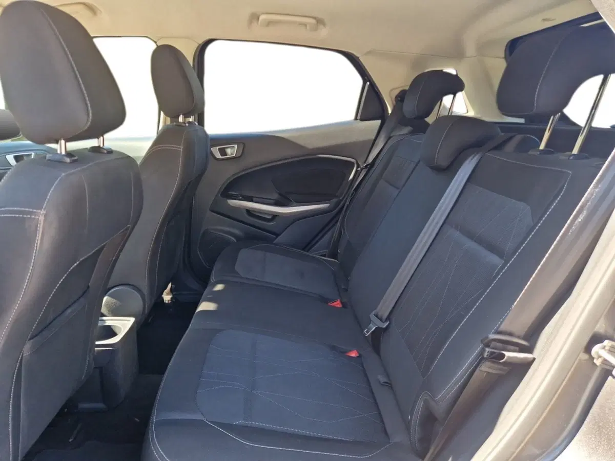 Ford EcoSport usata a Siena (12)