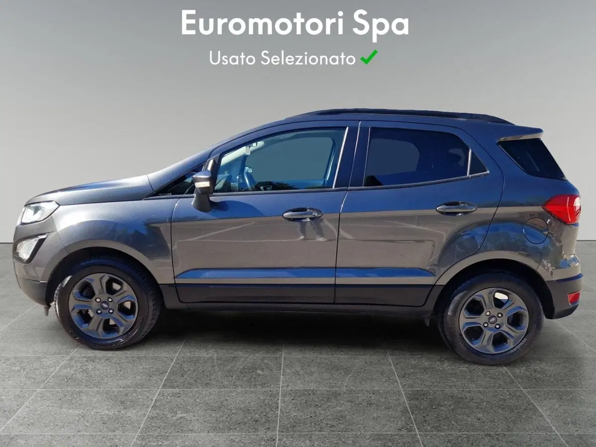 Ford EcoSport usata a Siena (2)