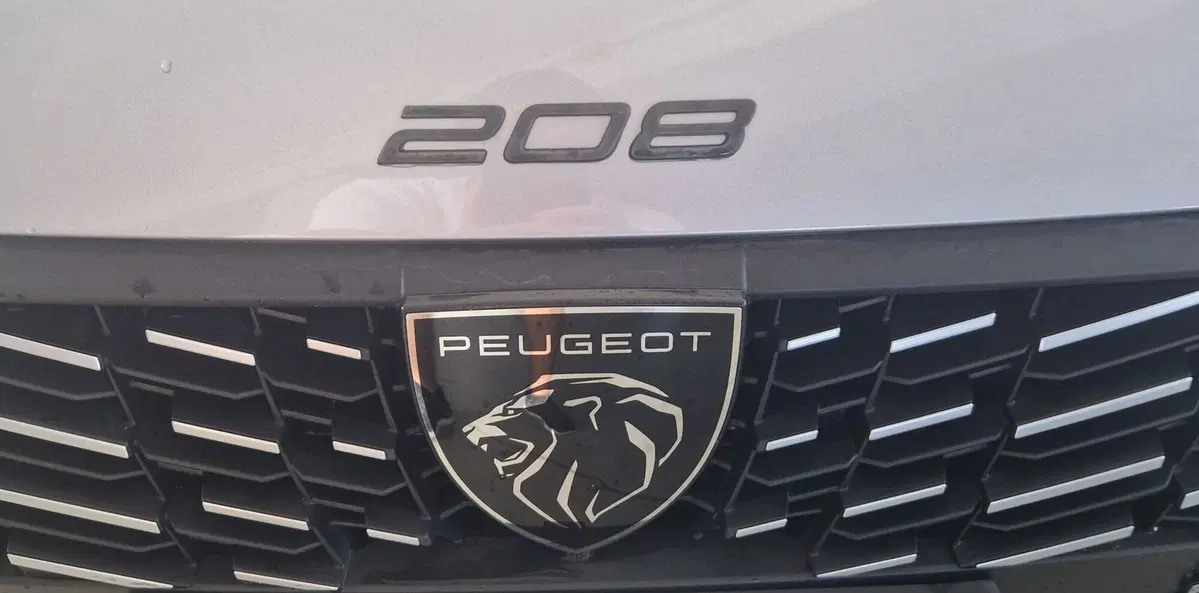 Peugeot 208 usata a Terni (20)