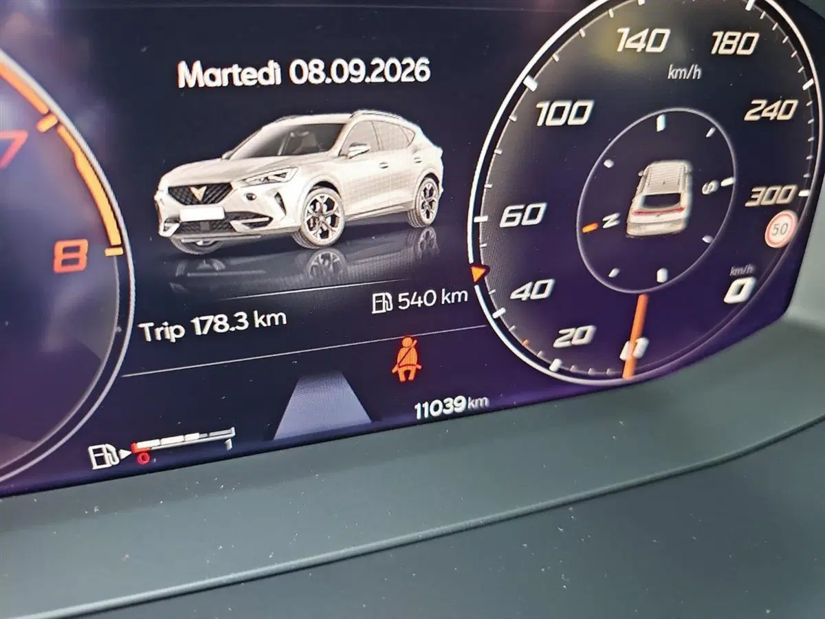 Cupra Formentor usata a Lecco (14)