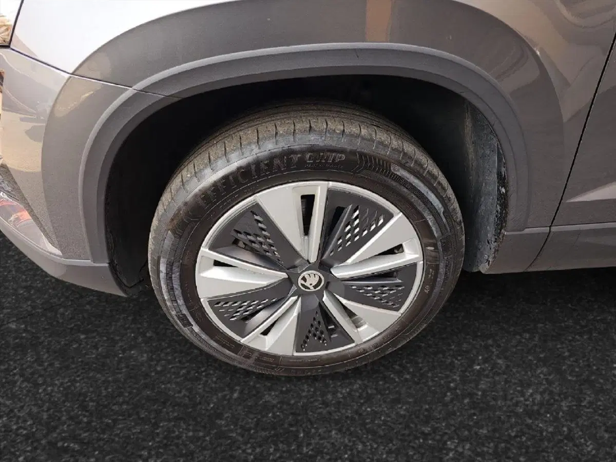 Skoda Karoq usata a Lecco (13)