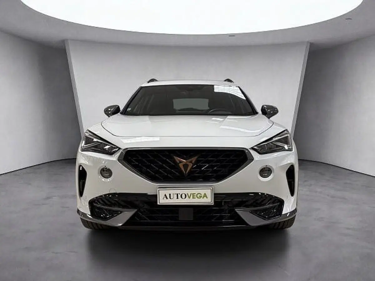 Cupra Formentor usata a Vicenza (2)