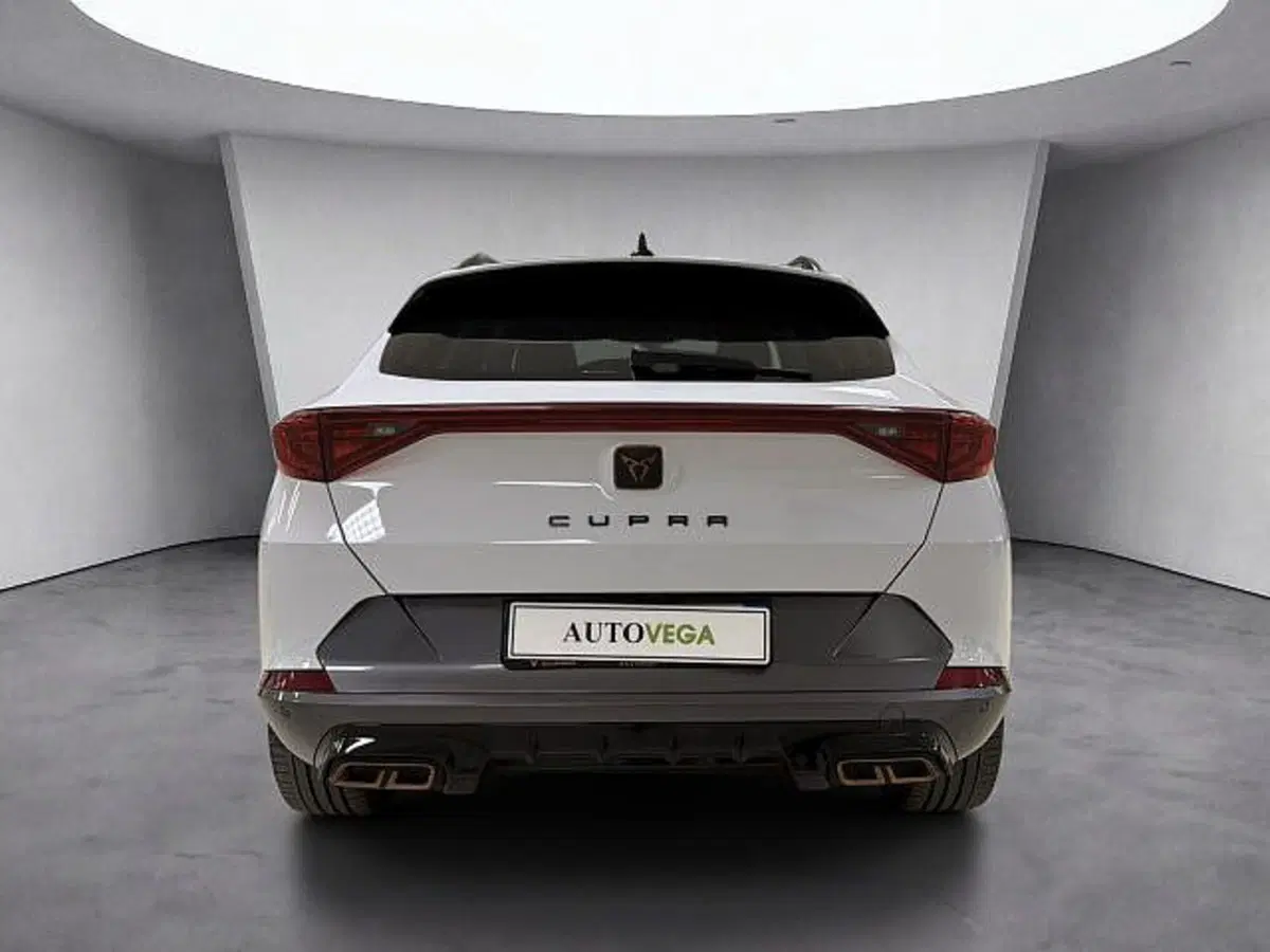 Cupra Formentor usata a Vicenza (5)