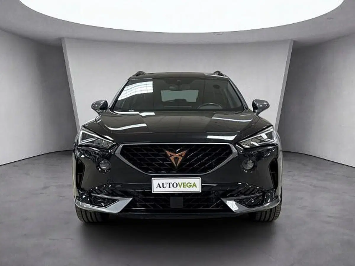 Cupra Formentor usata a Vicenza (2)