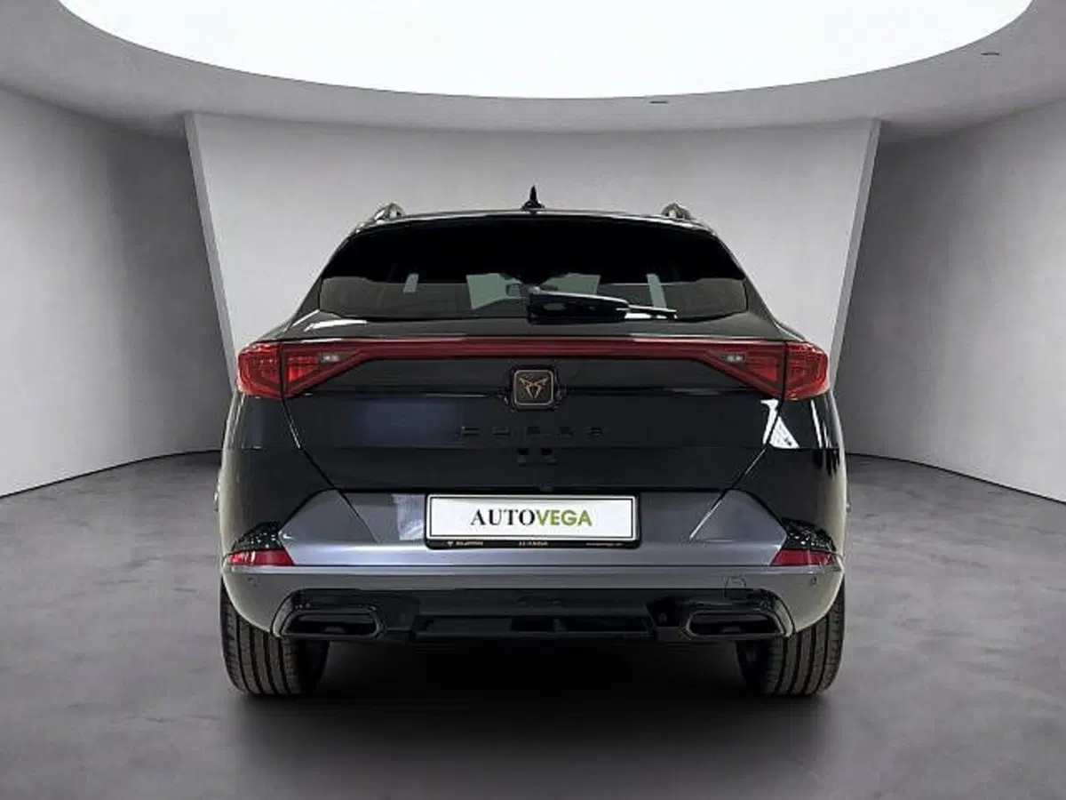 Cupra Formentor usata a Vicenza (5)