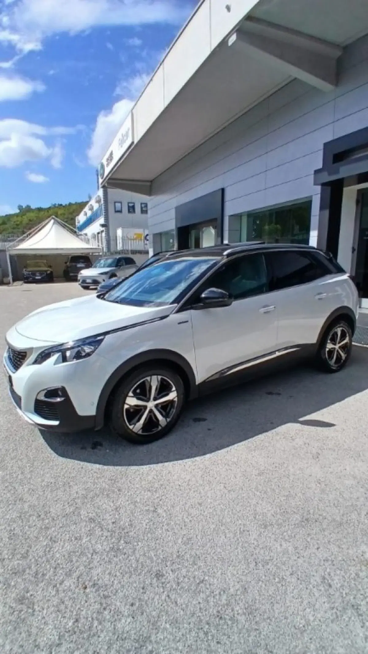 Peugeot 3008 usata a Potenza (3)