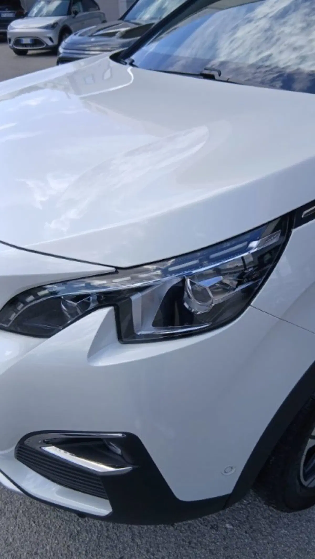 Peugeot 3008 usata a Potenza (7)
