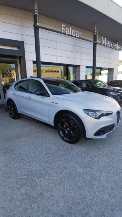 Alfa Romeo Stelvio 2.2 t Intensa Q4 210cv auto del 2024 usata a Potenza