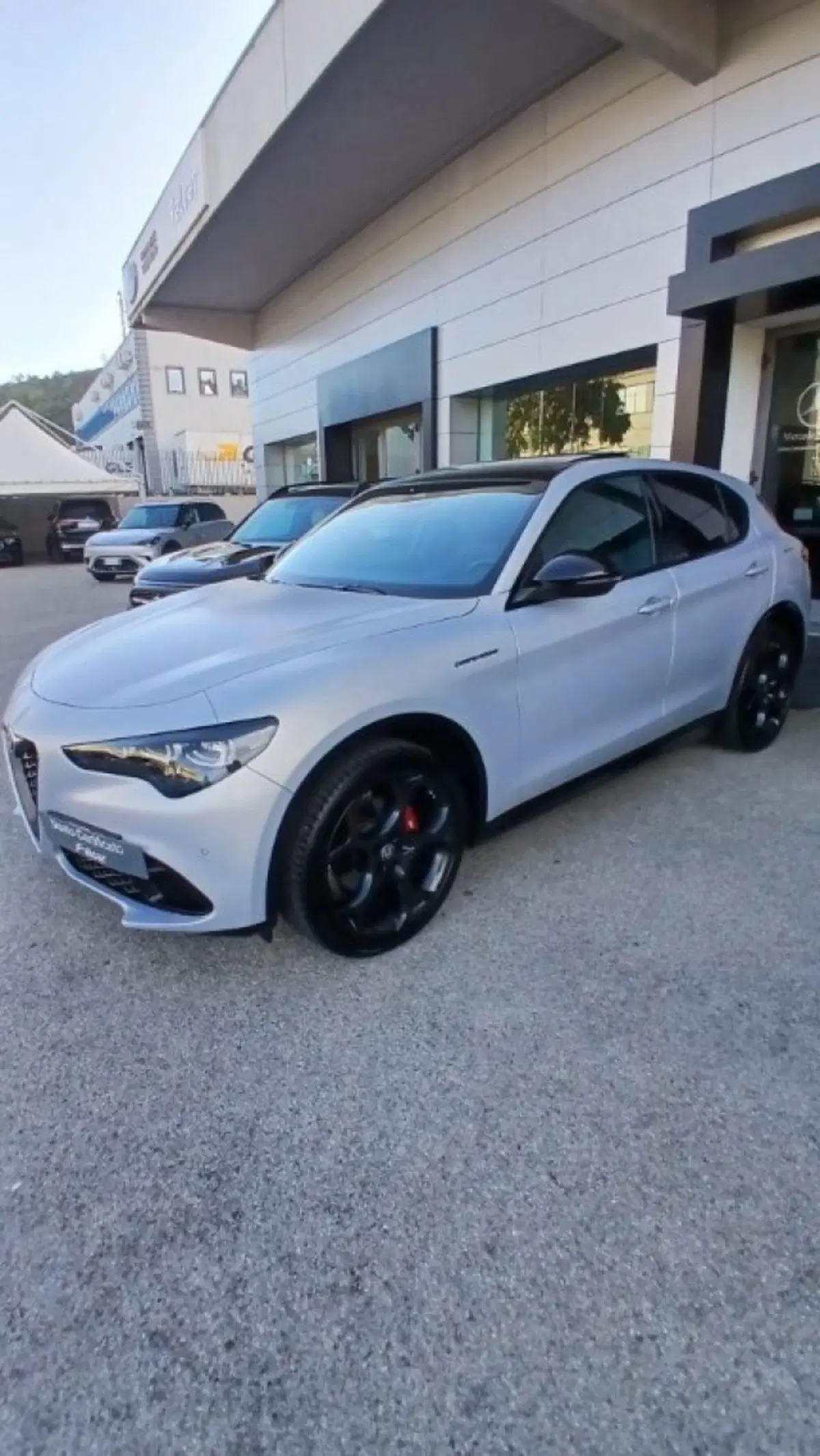 Alfa Romeo Stelvio usata a Potenza (3)