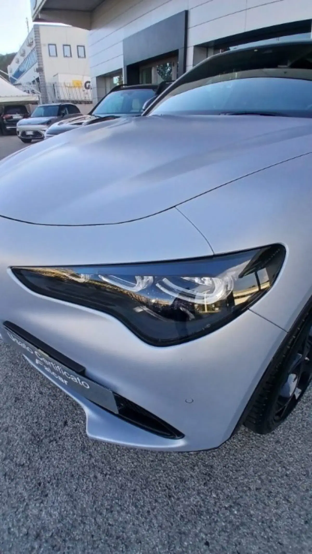 Alfa Romeo Stelvio usata a Potenza (8)