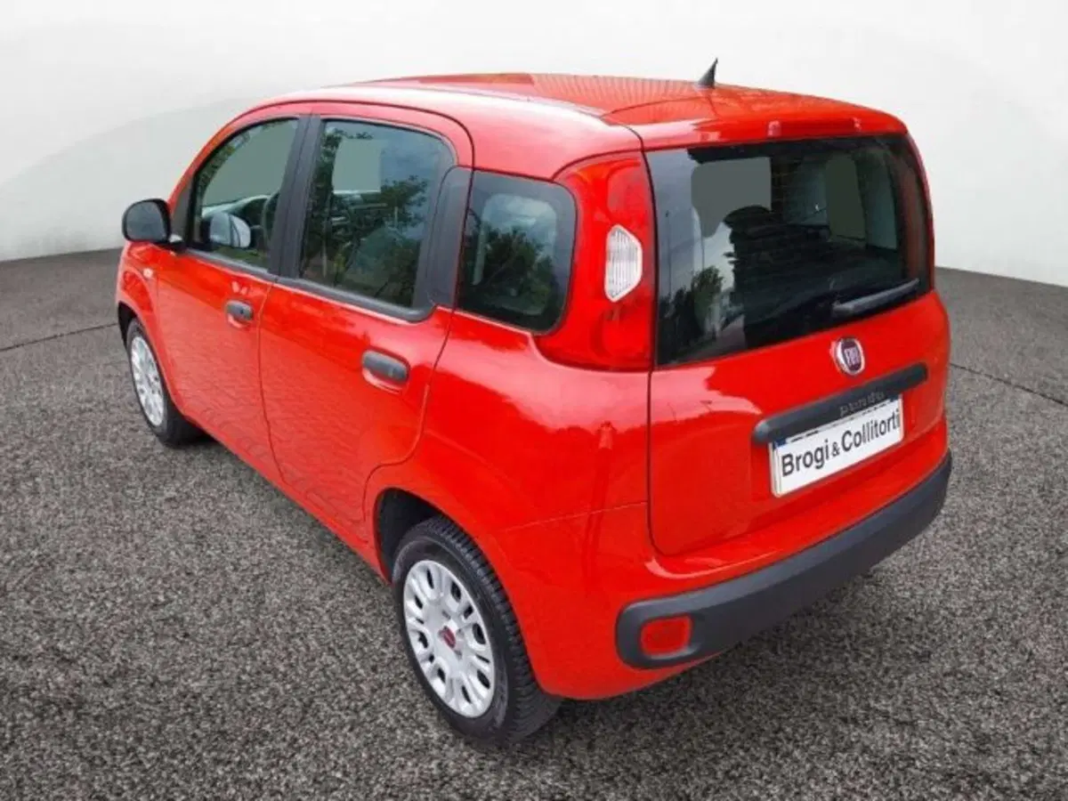 Fiat Panda usata a Firenze (4)